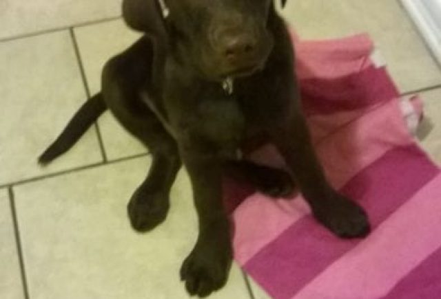 He Came From A Very Clean And Beautiful Home