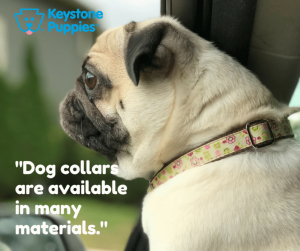 https://www.keystonepuppies.com/wp-content/uploads/2018/08/Pug-Dog-Keystone-Puppies-Puppies-for-sale-Pennsylvania.png