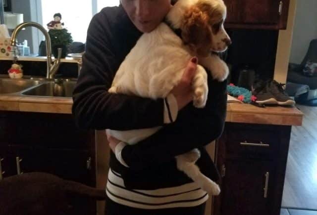 Cooper