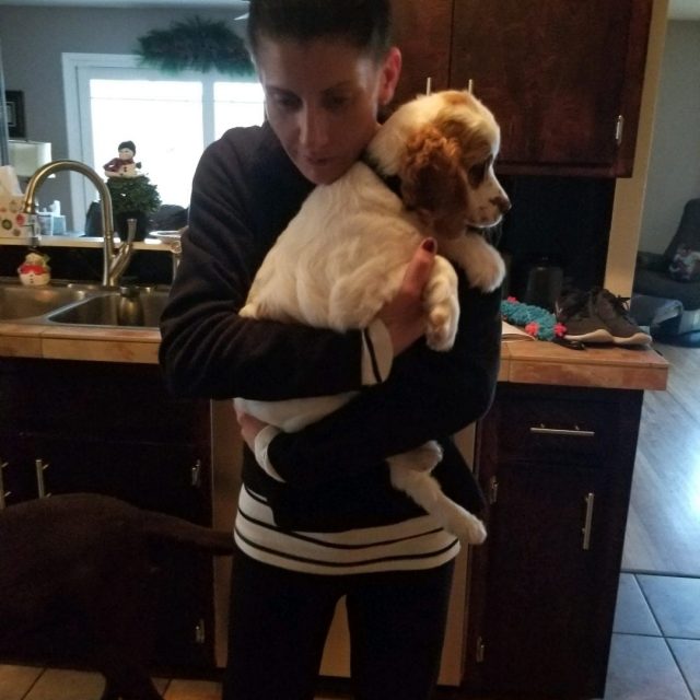 Cooper