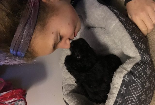 Christmas Surprise