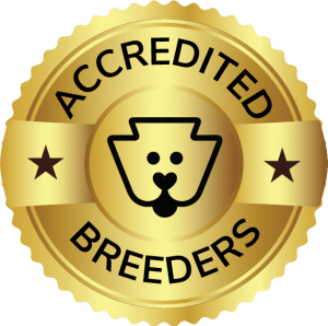 Accredited breeder badge.