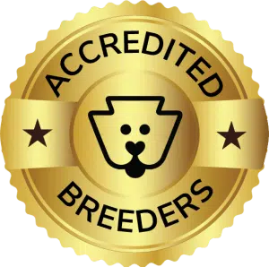 Accredited Breeders Logo