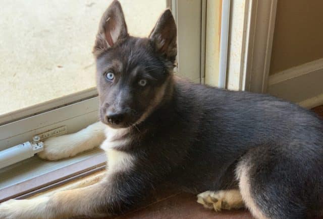 Thanks for helping us bring home our new baby!