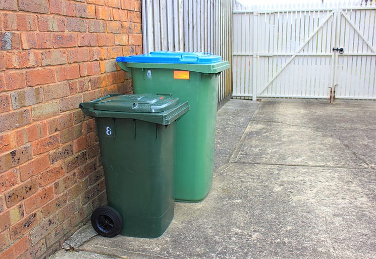 Storing trashcans outdoors for puppy safety