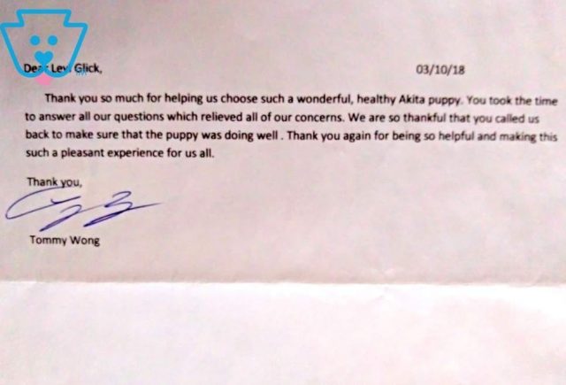 Levi Glick Akita Testimonial2