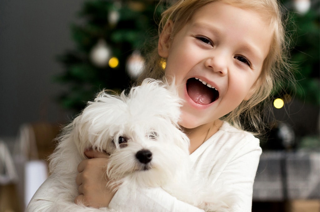 Little girl getting a puppy for Christmas