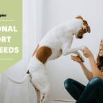 Best Emotional Support Dog Breeds