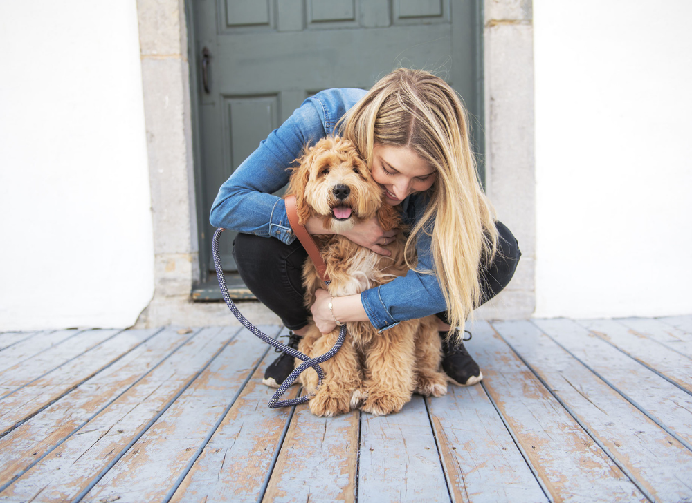 Girl hugging her new Goldendoodle puppy