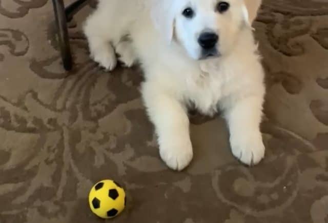 Super Happy!