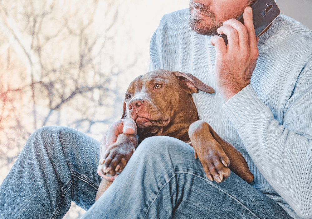 Puppy and owner with telephone