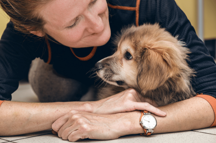 Owner with teddy bear puppy