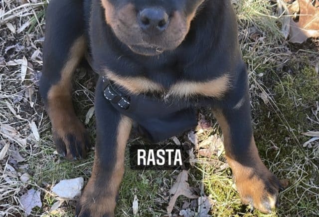 My boy!