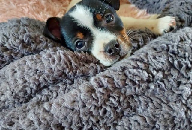 We are In love!