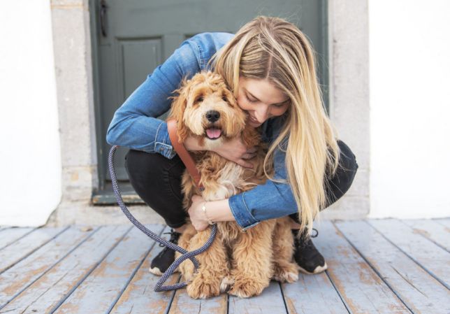 Woman hugging puppy that was shipped to Boston.