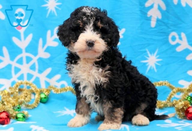 Daisy May 2-001