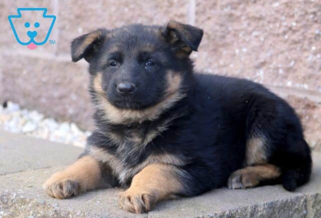 Keyla 2-001