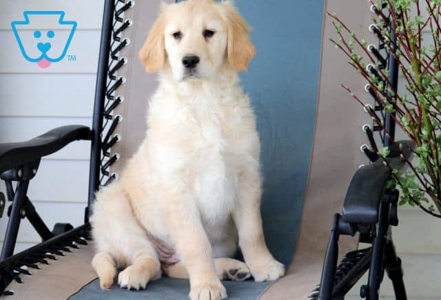 Marlie 1-002