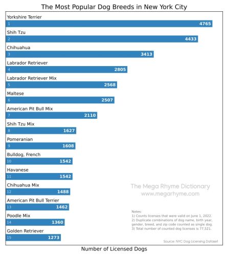 Bar graph showing most popular dog breeds in New York City for 2022.