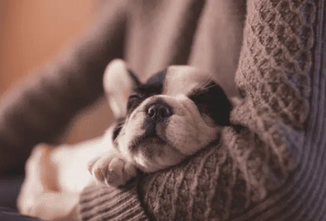 Stress-Free Delivery