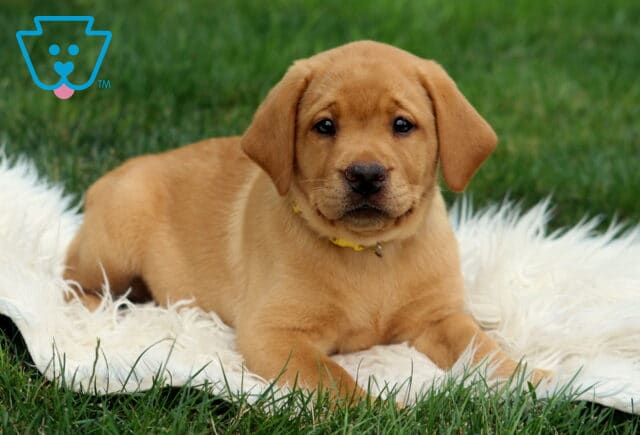 Bailey Lab3 image