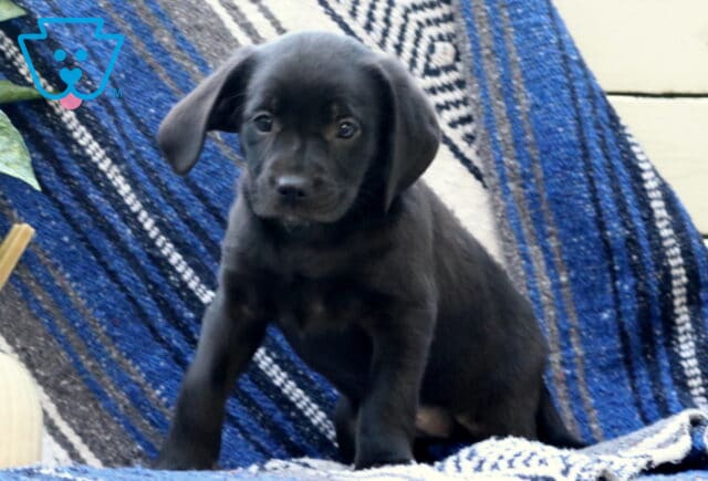 Winter Border MIx image