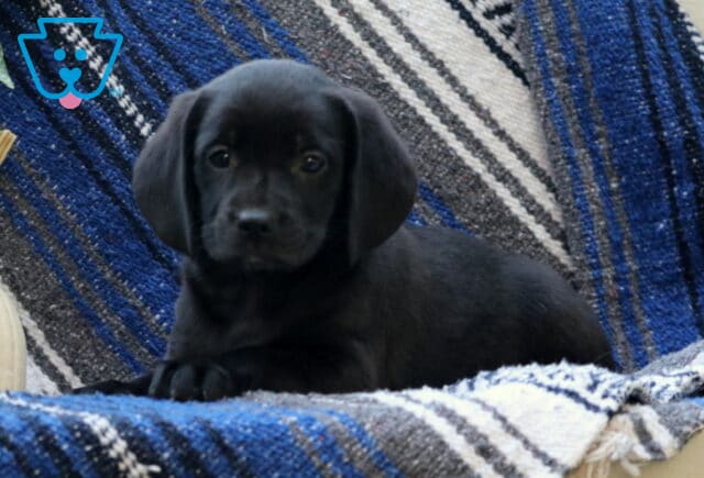 Winter Border MIx2 image