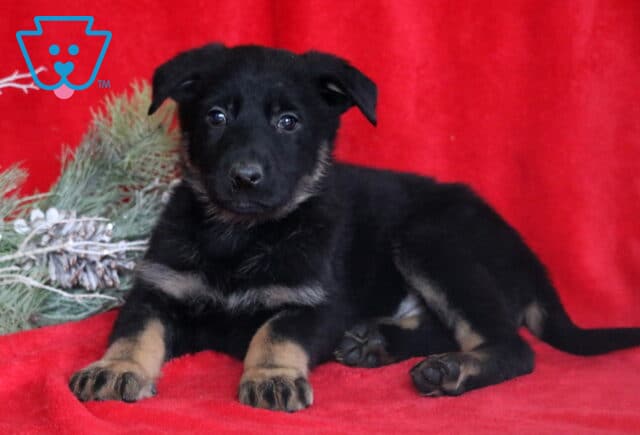 Charles German2 image