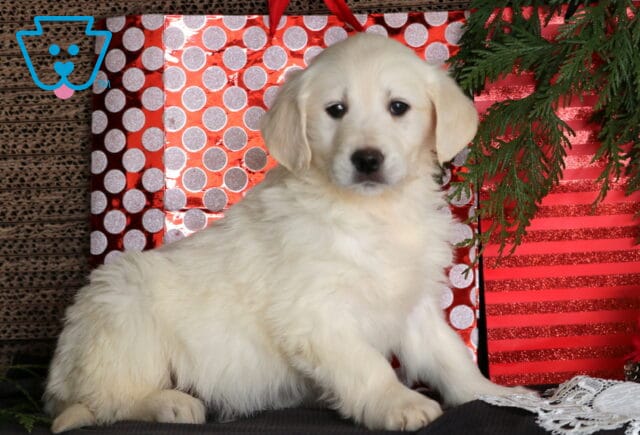 Clouds Eng Cream Golden image