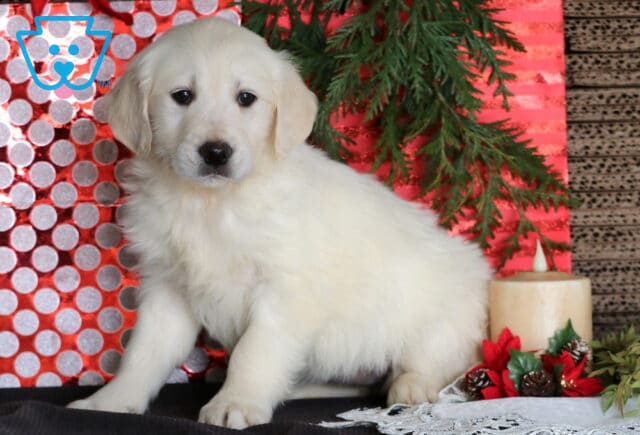 Clouds Eng Cream Golden2 image