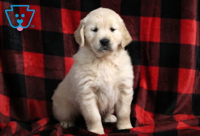 Jupiter Golden image