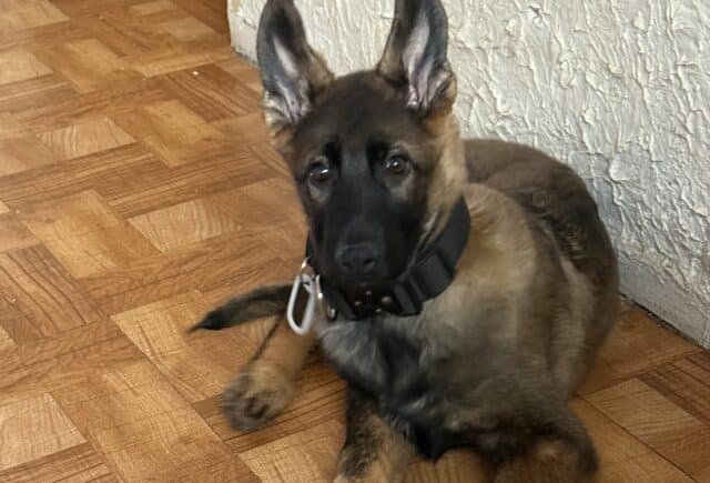 Joey & daughter samantha