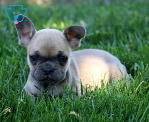 Leah Frenchie2