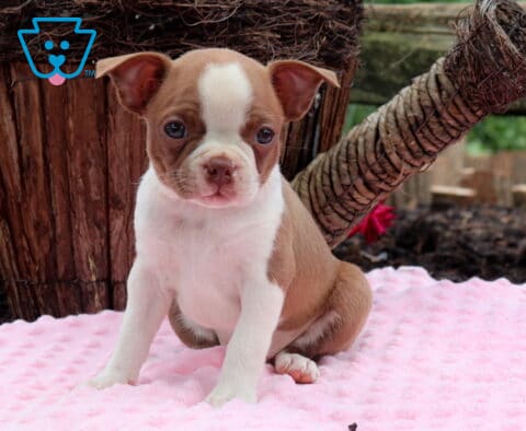 Betty Boston