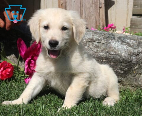 Zoey Golden