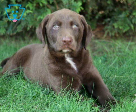 THeo Lab2
