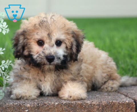 Leah Bichpoo2